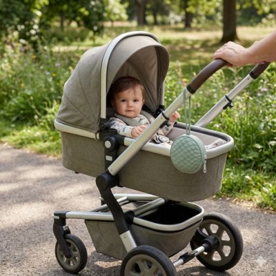 Boite a tetine maman promene bebe au parc