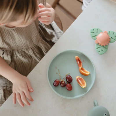assiette bebe enfant a table qui mange