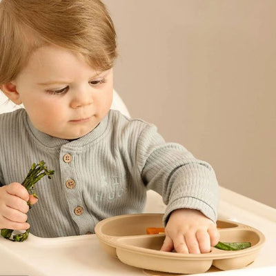 Assiette pour bebe assit dans sa chaise