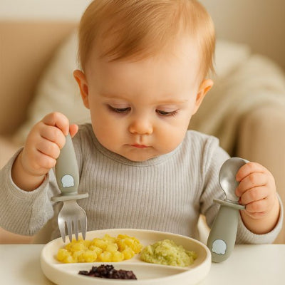 Couvert pour bebe assit a table regarde son assiette